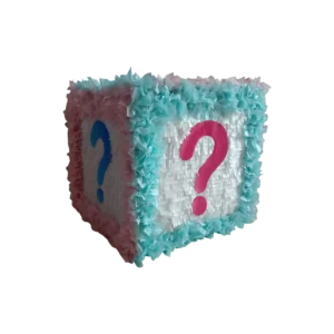 Gender Reveal Baby Block Piñata – Gender Reveal & Baby Shower Piñata